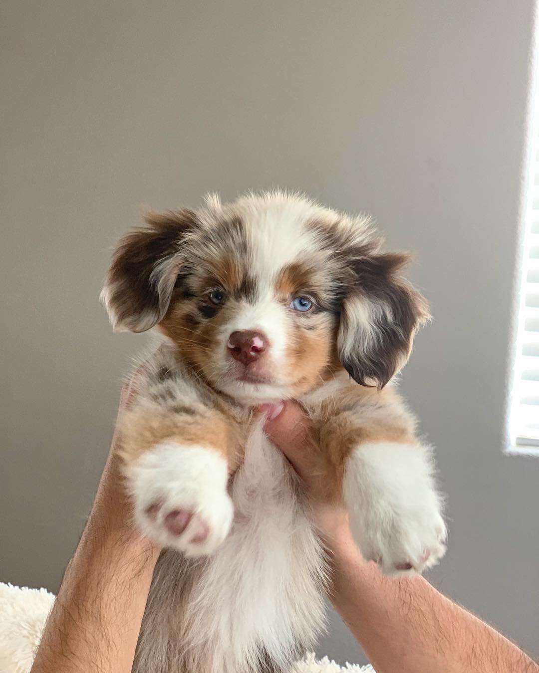 Finn